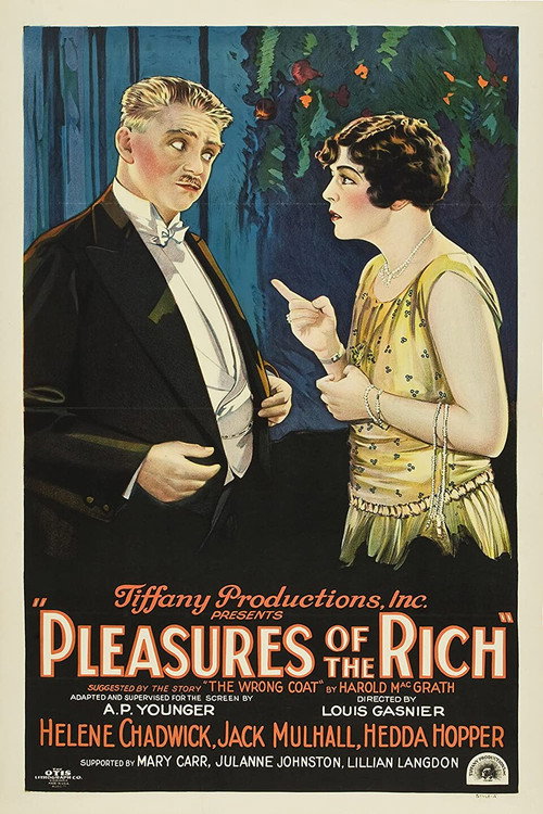 Pleasures of the Rich (1926) movie poster