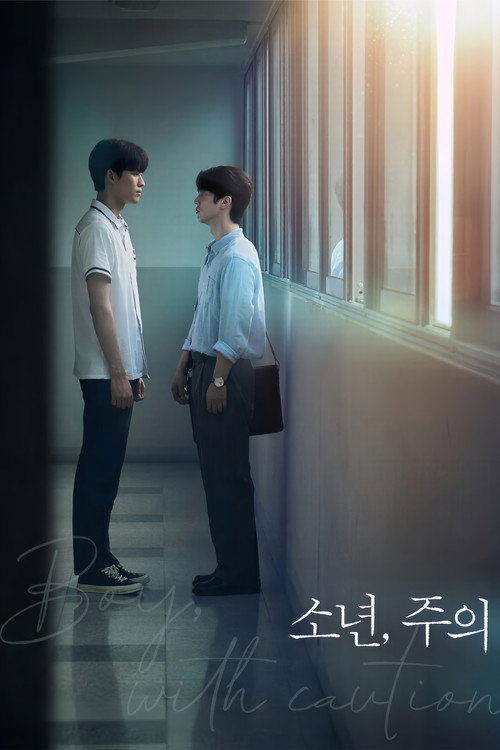 Boy, with caution (2026) TV show poster