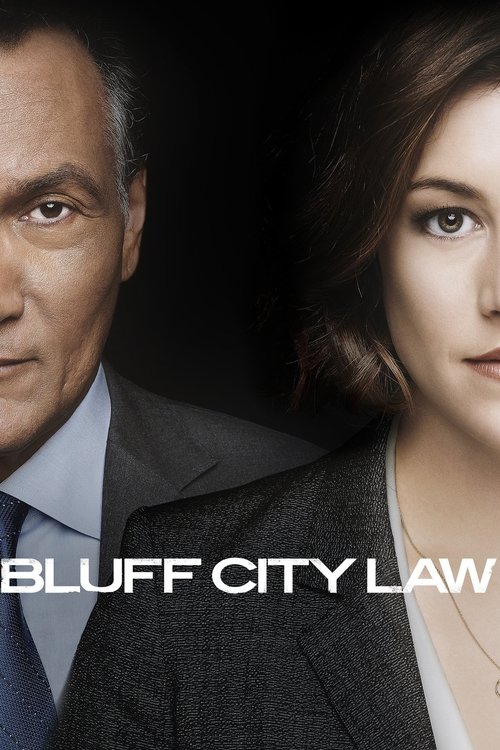 Bluff City Law (2019) TV show poster