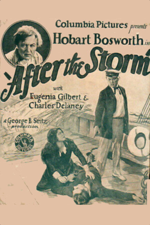 After the Storm (1928) movie poster