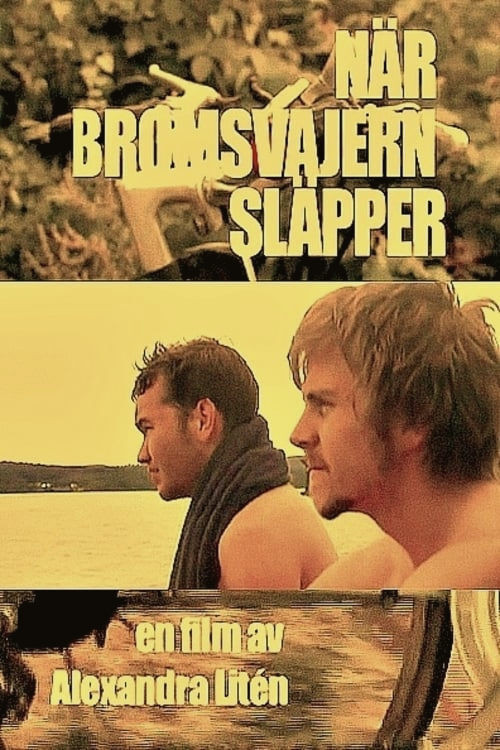 No Brakes (2008) movie poster
