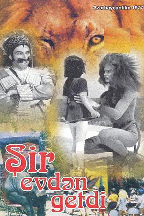 The Lion Ran Away from the House (1977) movie poster