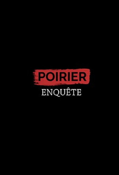 Poirier enquête (2016) TV show poster