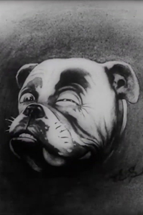 Studdy's War Cartoons (1915) movie poster