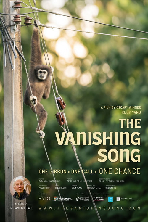The Vanishing Song movie poster
