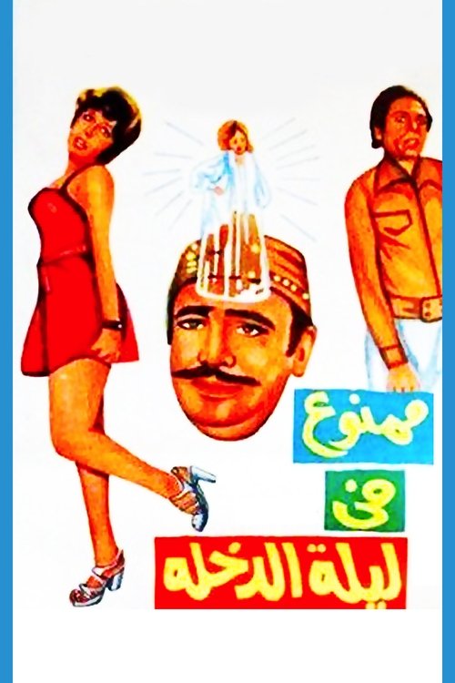 Forbidden at the Wedding Night (1975) movie poster