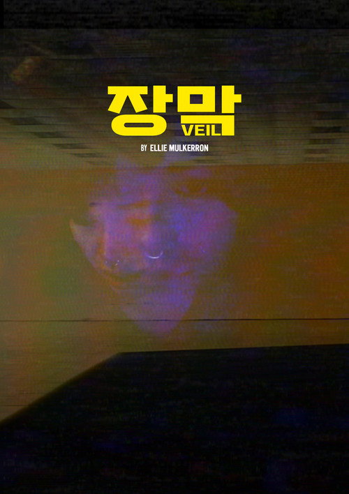 Veil movie poster