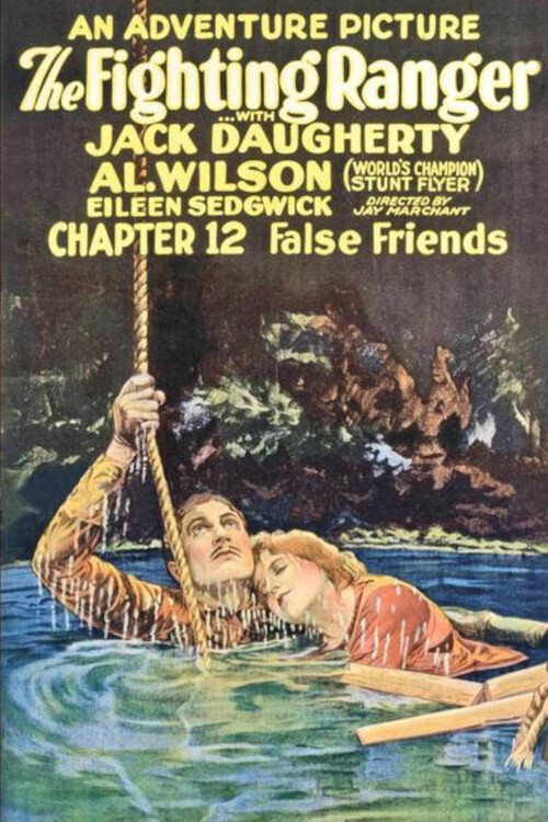 The Fighting Ranger (1925) movie poster