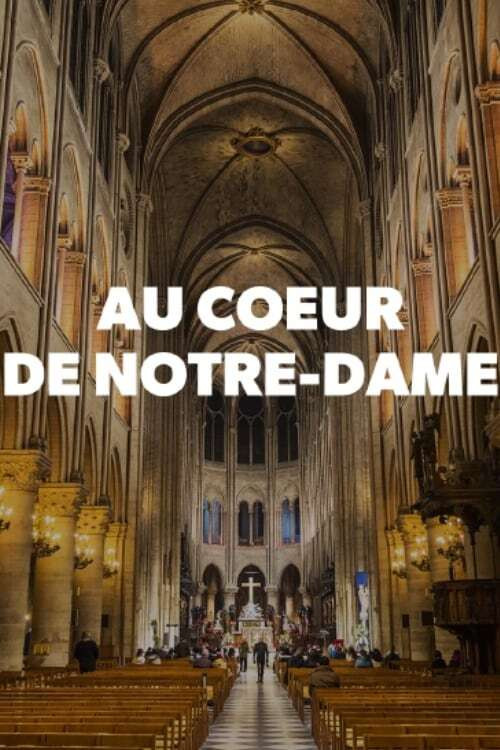 Au cœur de Notre-Dame (2011) movie poster