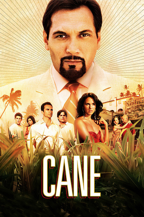 Cane (2007) TV show poster
