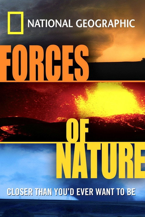 Forces of Nature (2004) movie poster
