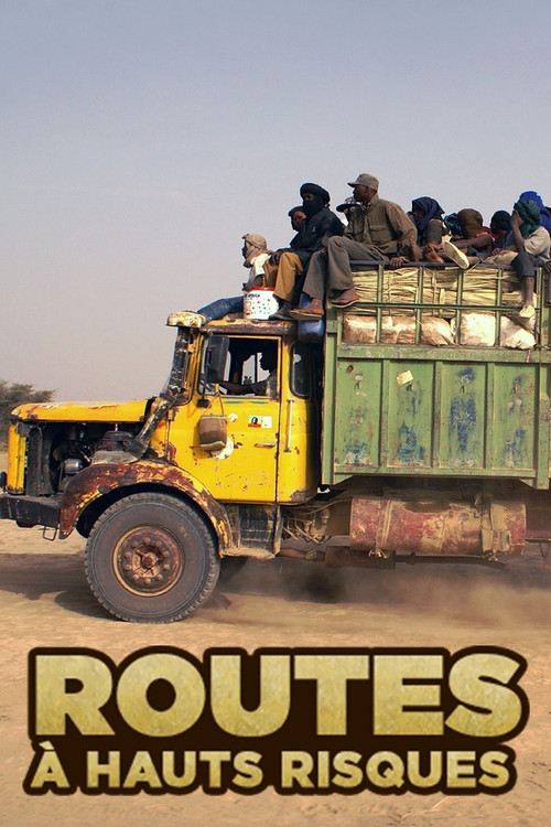 Fahrt ins Risiko (2011) TV show poster