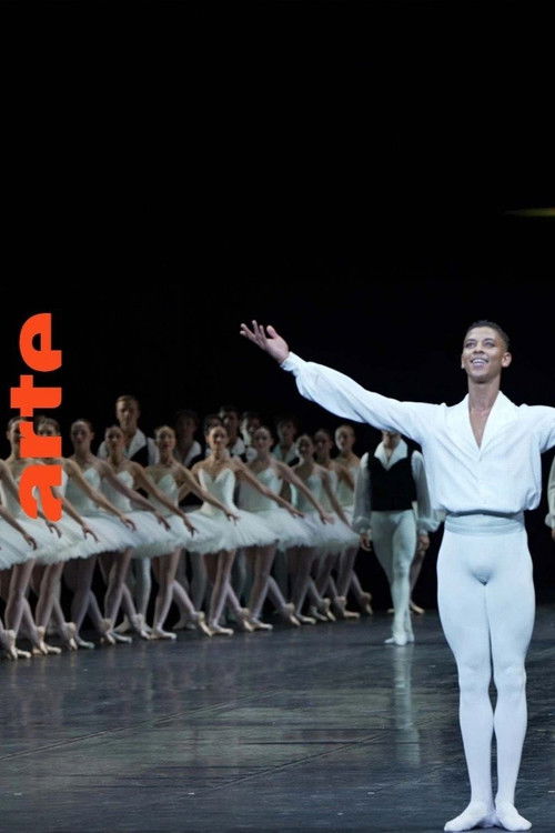 Young, Black and Gifted: Diversity at the Paris Opera (2024) movie poster