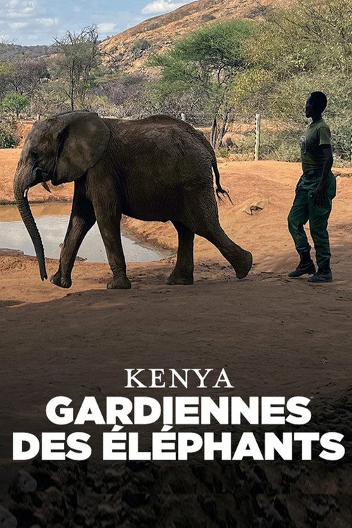 Kenya - Gardiennes des éléphants (2024) movie poster