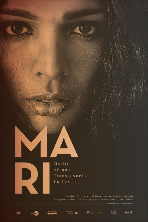 Mari (2012) movie poster
