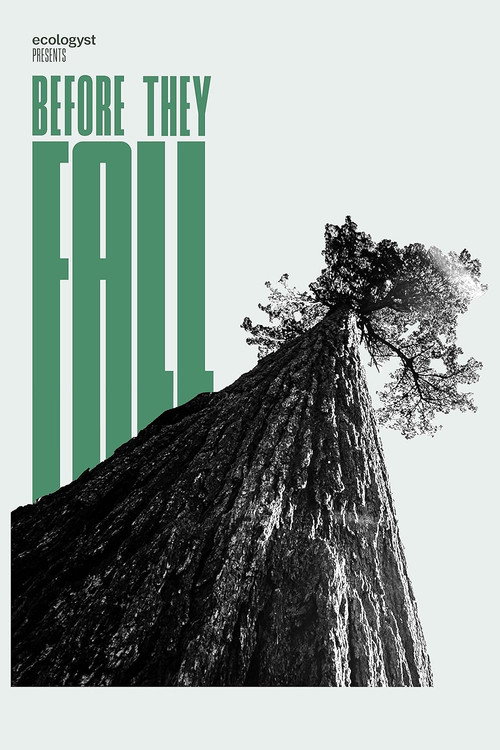 Before They Fall (2021) movie poster