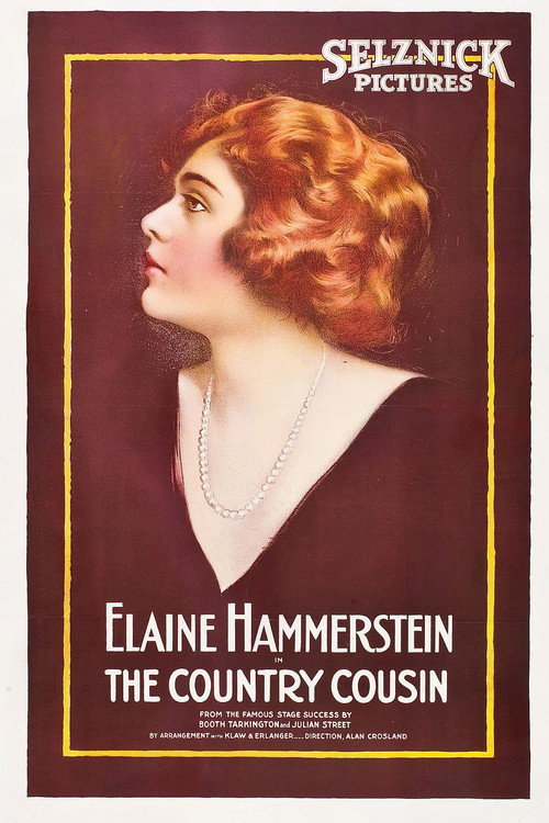 The Country Cousin (1919) movie poster