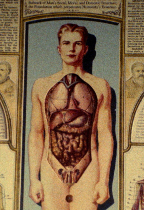 Natural History (1989) movie poster