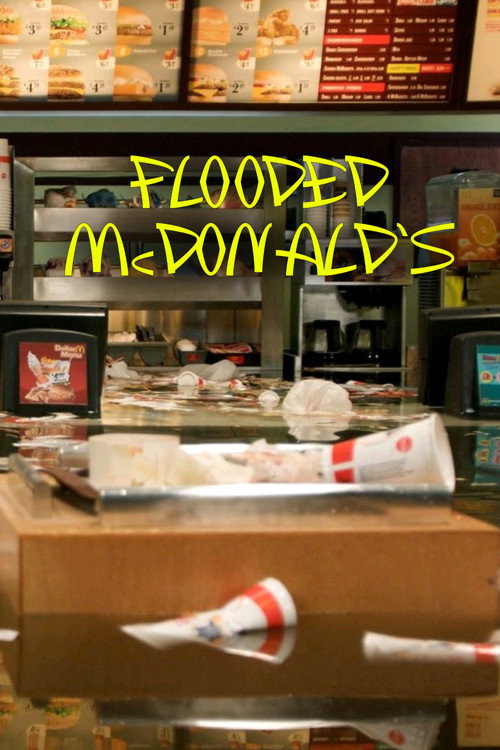 Flooded McDonald’s (2009) movie poster