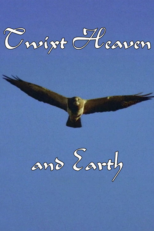 Twixt Heaven and Earth (1998) movie poster