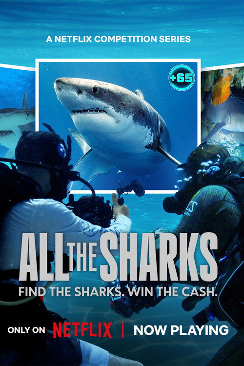 All the Sharks (2025) TV show poster