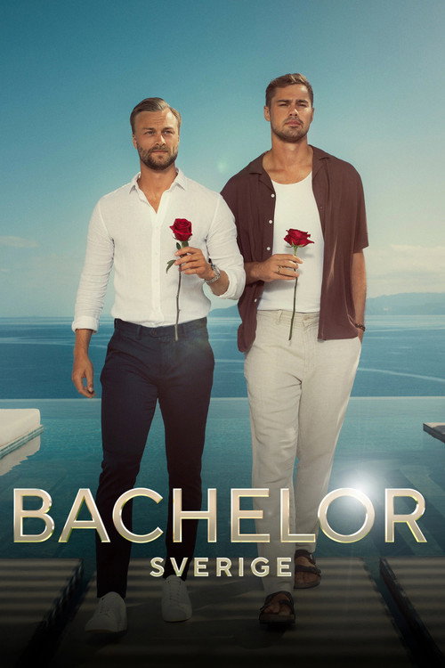 Bachelor Sweden (2015) TV show poster