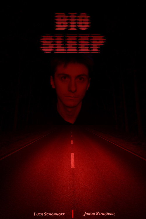 BIG SLEEP (2025) movie poster