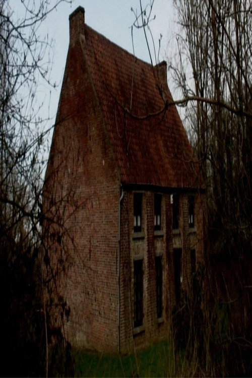 From Vincent's House in the Borinage (2017) movie poster