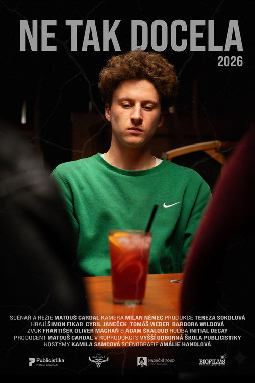 Not Exactly (2026) movie poster