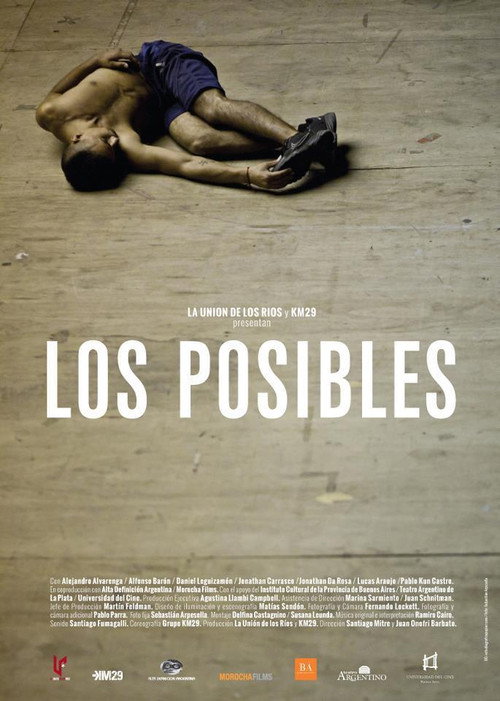 Los posibles (2013) movie poster