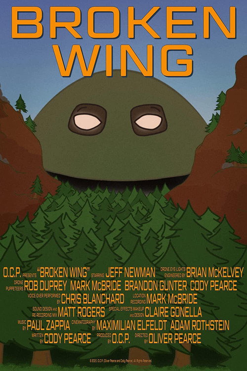 Broken Wing (2021) movie poster