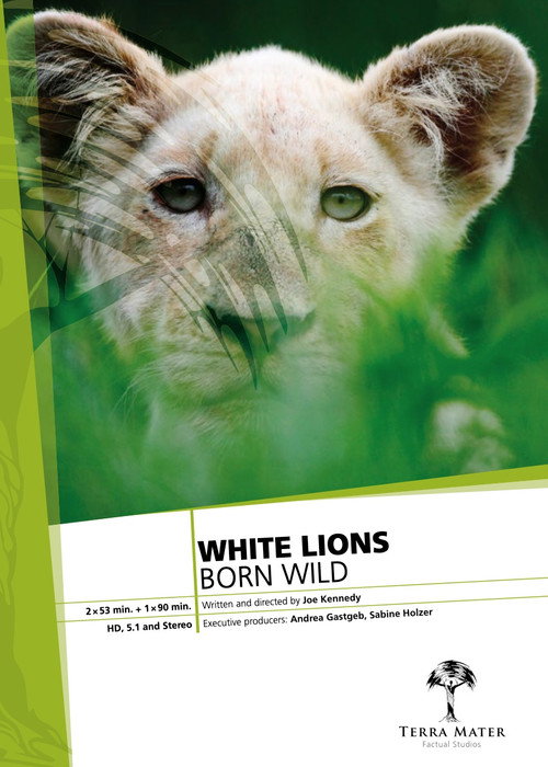 White Lions Born Wild (2012) movie poster