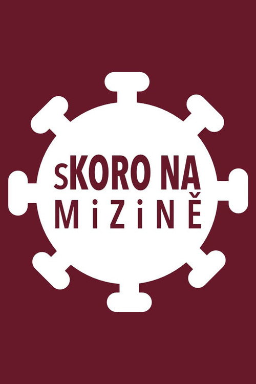 sKORO NA mizině (2020) TV show poster