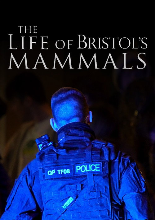 The Life of Bristol's Mammals (2024) movie poster