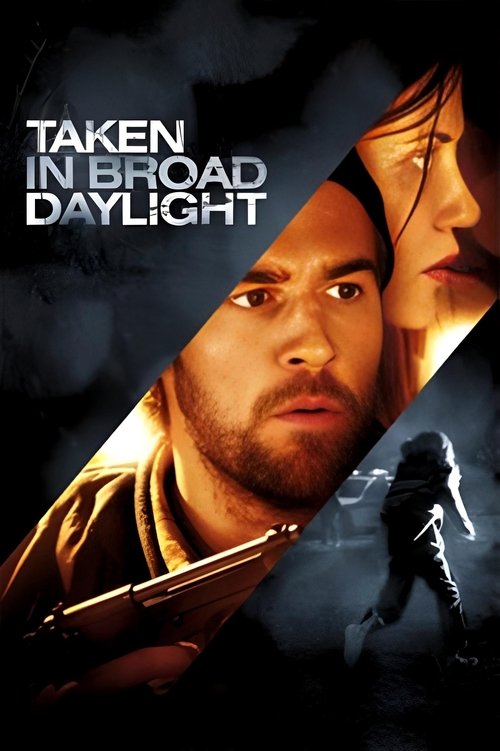 Taken in Broad Daylight (2009) movie poster