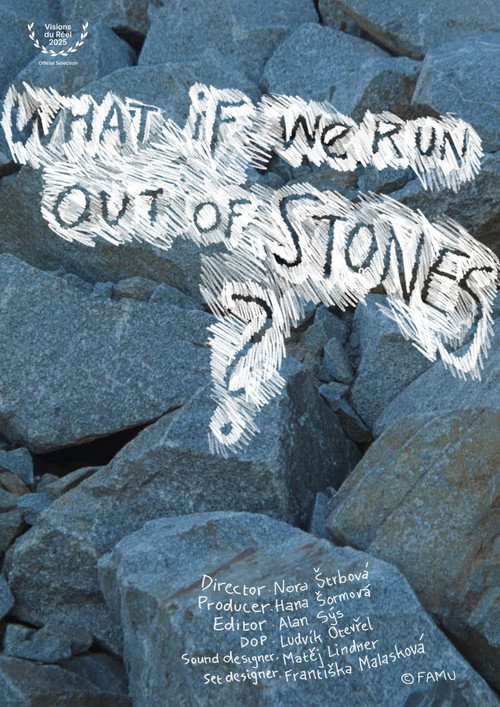 What If We Run Out of Stones? (2025) movie poster
