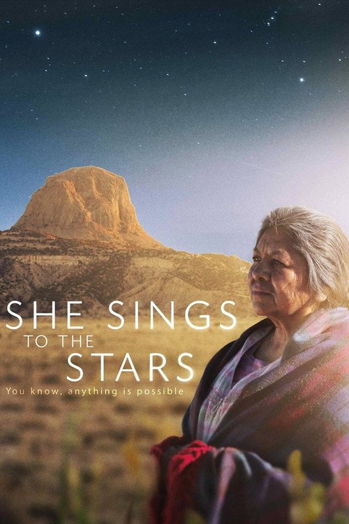 She Sings to the Stars (2014) movie poster