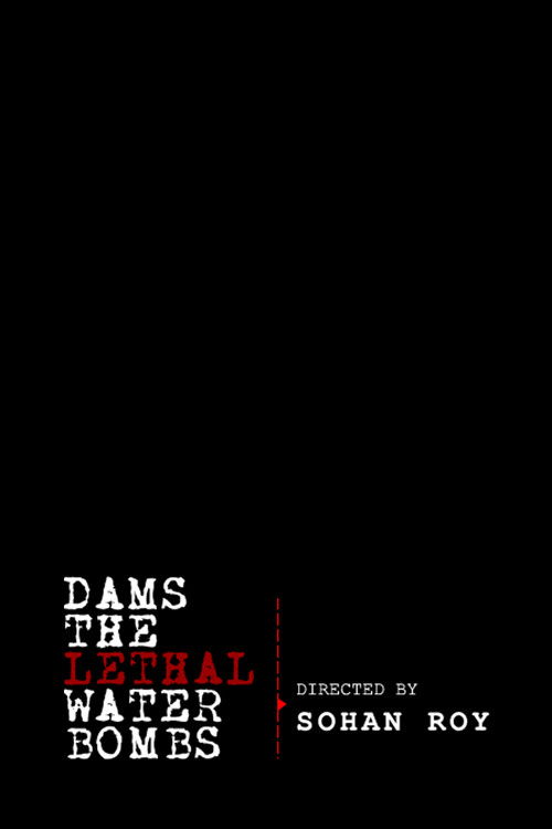 Dams: The Lethal Water Bombs (2011) movie poster