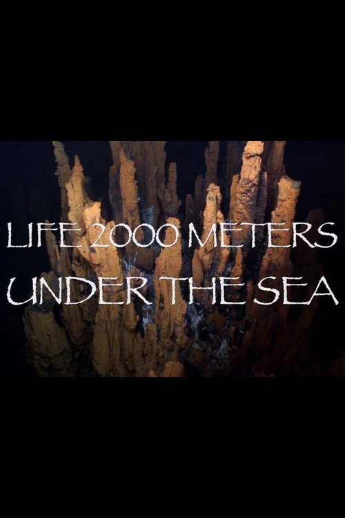 Life 2,000 Meters Under the Sea (2014) movie poster