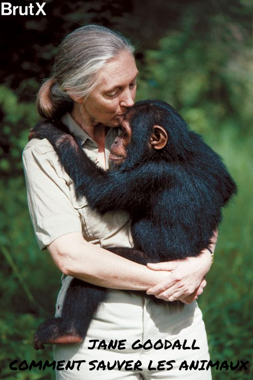 Jane Goodall : Comment sauver les animaux (2021) movie poster