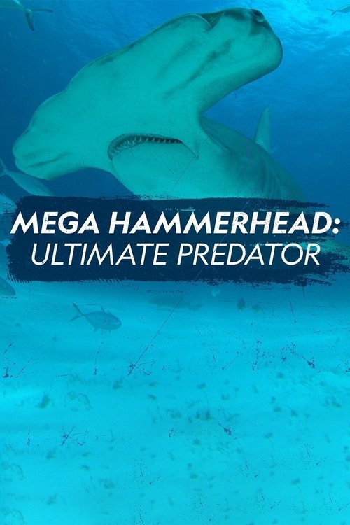 Mega Hammerhead: Ultimate Predator (2020) movie poster
