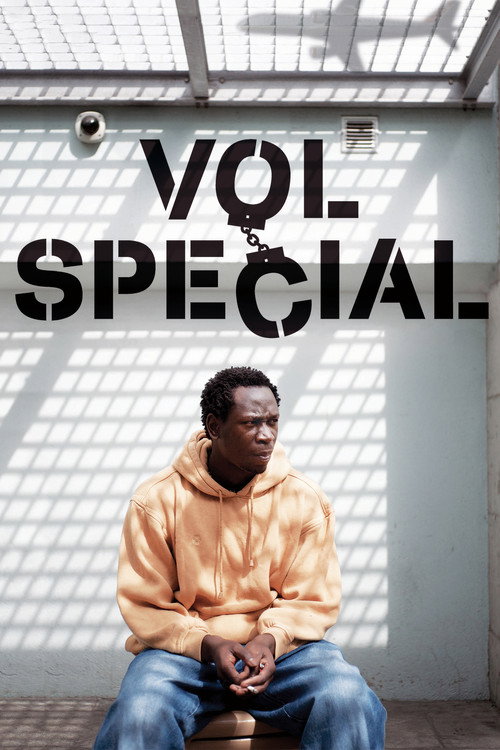 Special Flight (2011) movie poster