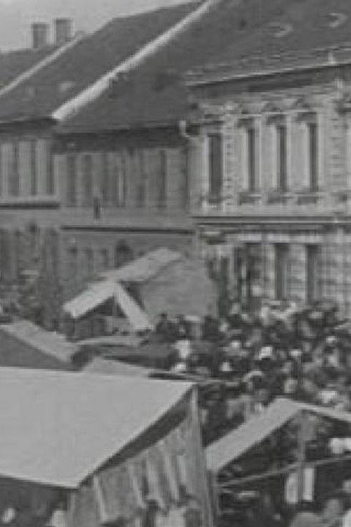 The Ljutomer Fair (1905) movie poster