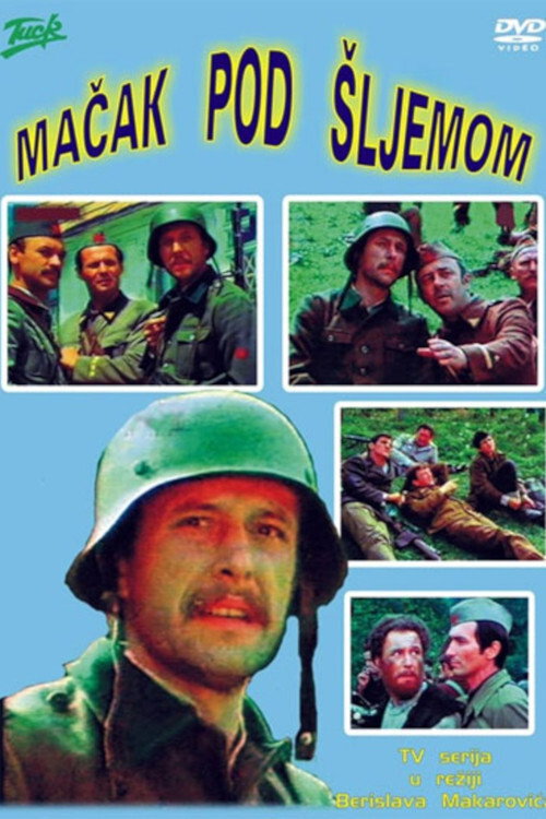 Cat Under a Helmet (1978) TV show poster