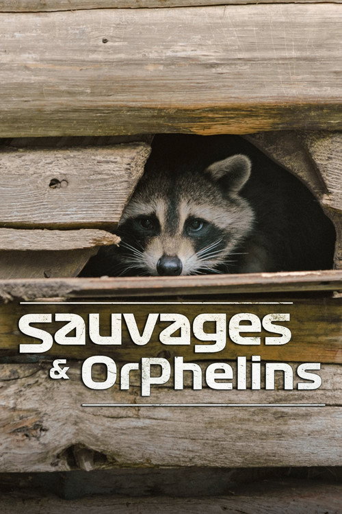 Sauvages et orphelins (2020) TV show poster