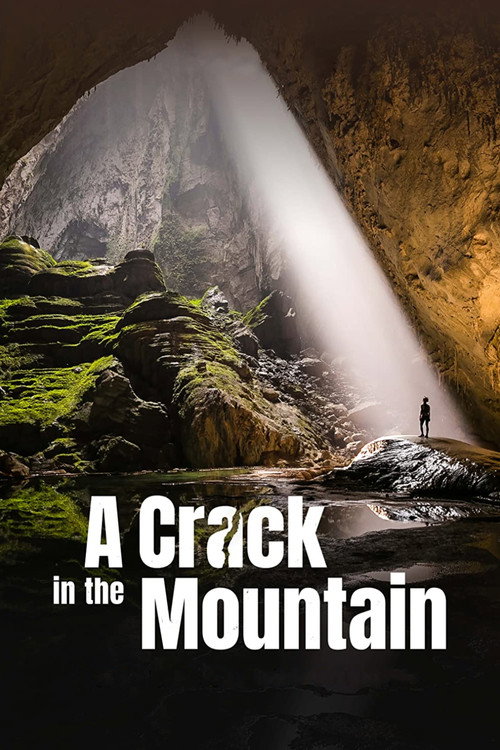 A Crack in the Mountain (2023) movie poster