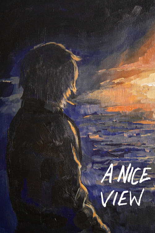 A Nice View (2025) movie poster
