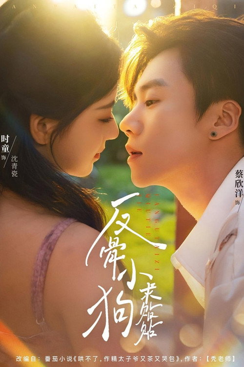 Fan Gu Xiao Gou Qiu Tie Tie (2025) TV show poster