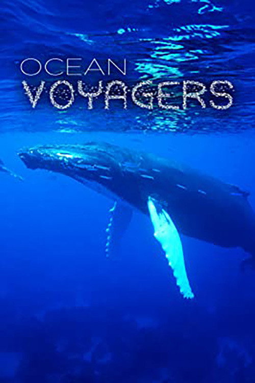 Ocean Voyagers (2007) movie poster