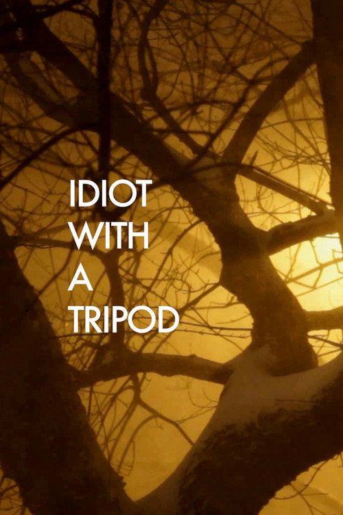 Idiot with a Tripod (2010) movie poster